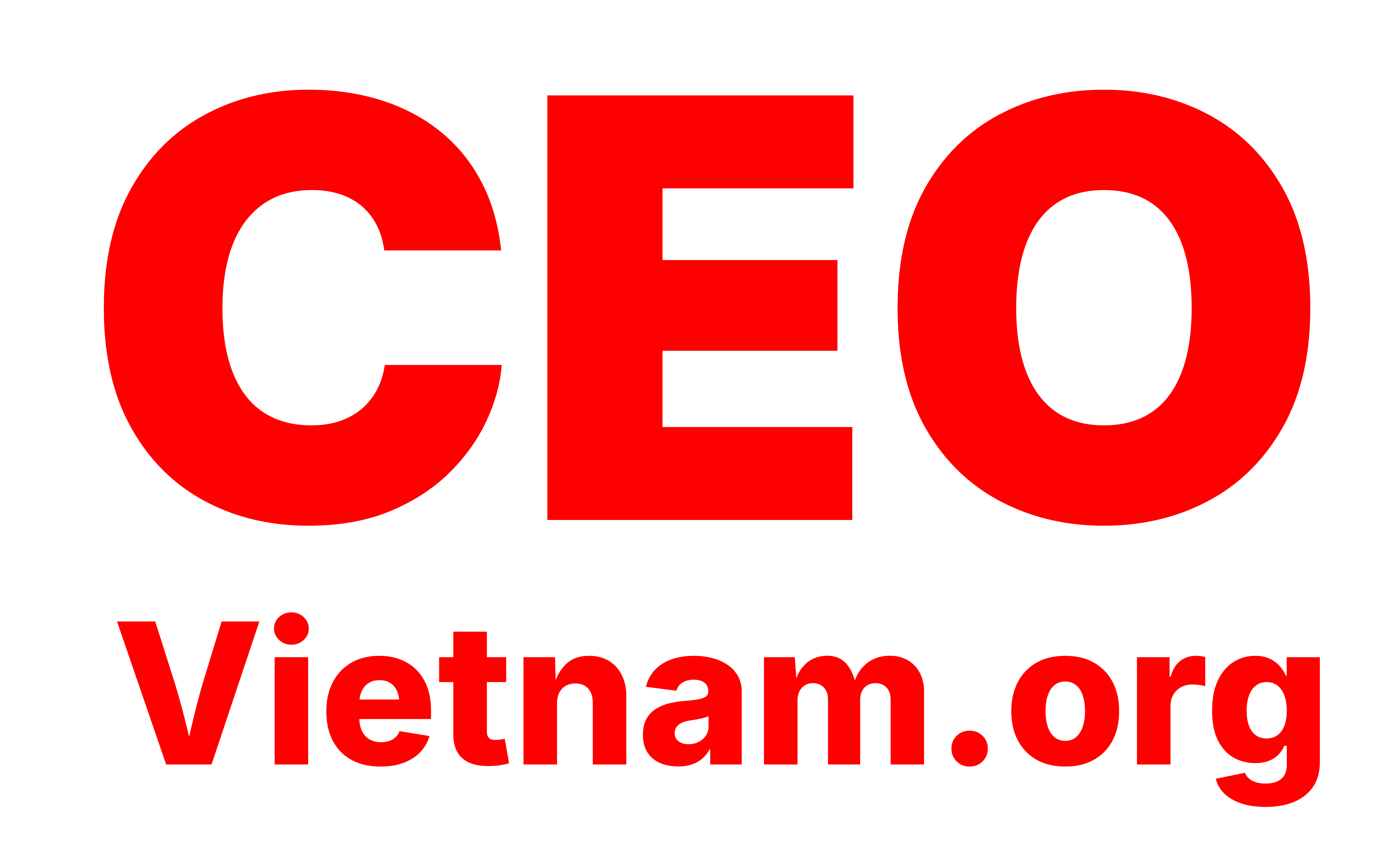 Mạng Lưới CEO Việt Nam